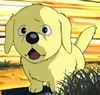 EP 10, 11, 34-35, 39 - Golden
                    Retriever - filhote macho