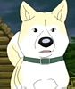 EP 28 - Akita Inu - Co idoso 
                    espera de seu dono na estao de trem, histria
                    baseada no real Akita Hachiko, homenageado com 2
                    esttuas no Japo