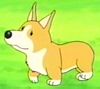 EP 29, 38 - Welsh Corgi
                    Pembroke - Co sbio, ele percebe que Freddy 
                    especial