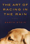 The Art of Racing in the Rain