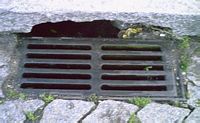 the culvert